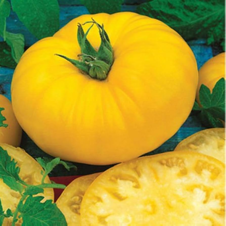 Sunny - Boy for planting in home garden